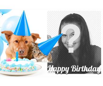 Carta Di Compleanno Dolce Con Un Cane E Un Gatto Per Una Foto Fotoeffetti